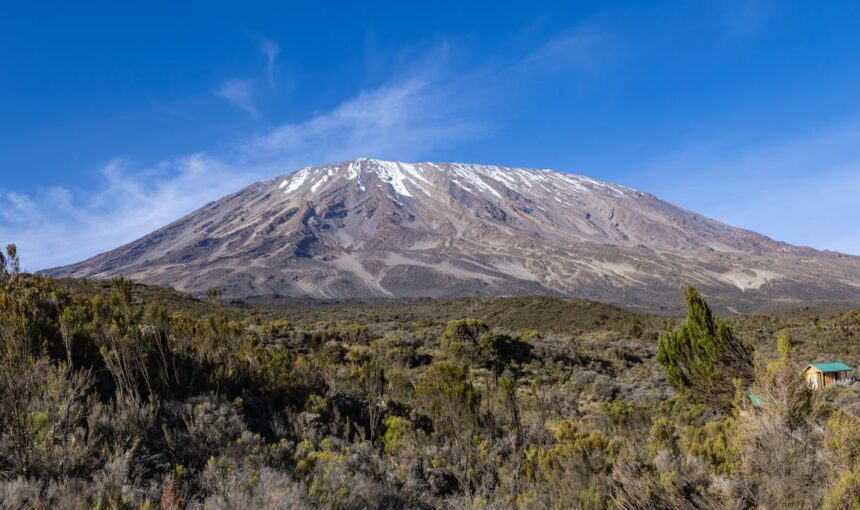 Mount Kilimanjaro Climbing Through Lemosho Route (8 Days)